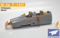 PE for F-14D