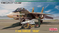 Grumman F-14A Tomcat IRIAF - Image 1