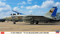 F-14D Tomcat VF-213 Blacklions Last Cruise