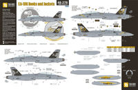Boeing EA-18 G Growler -Rooks and Yellow Jackets Decals